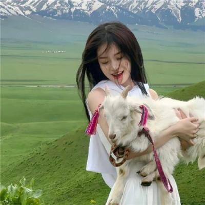 特别搜查：死刑犯的信