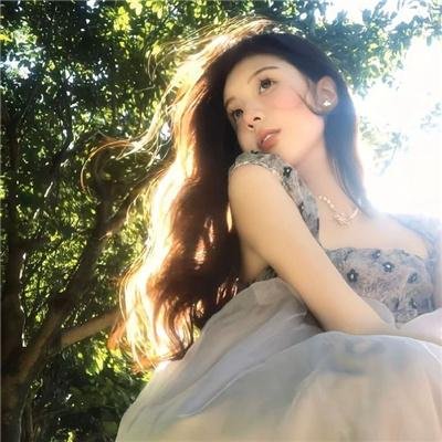 龟甲秘事之拨云见日